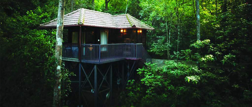 Wayanad